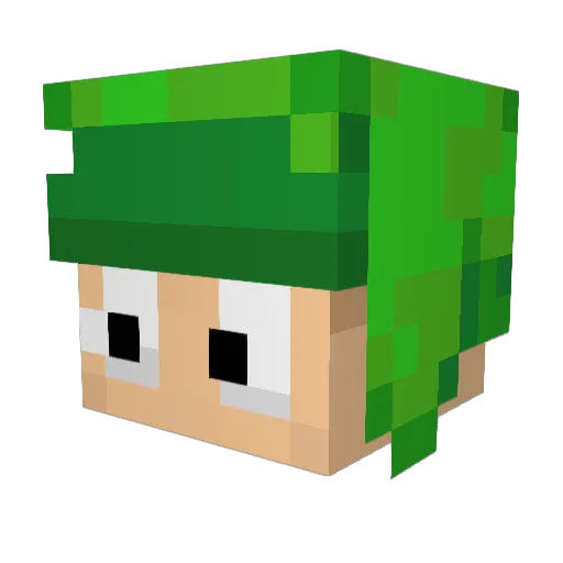 lesxs Minecraft avatar head, 3D render
