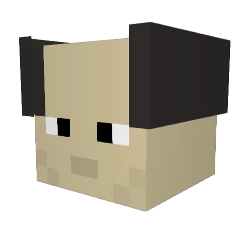 leticole Minecraft avatar head, 3D render