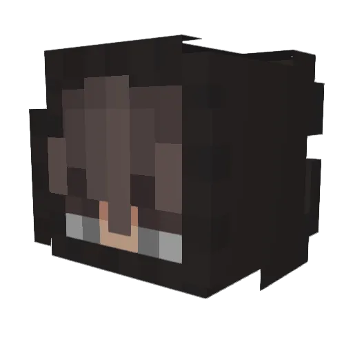 letinum Minecraft avatar head, 3D render