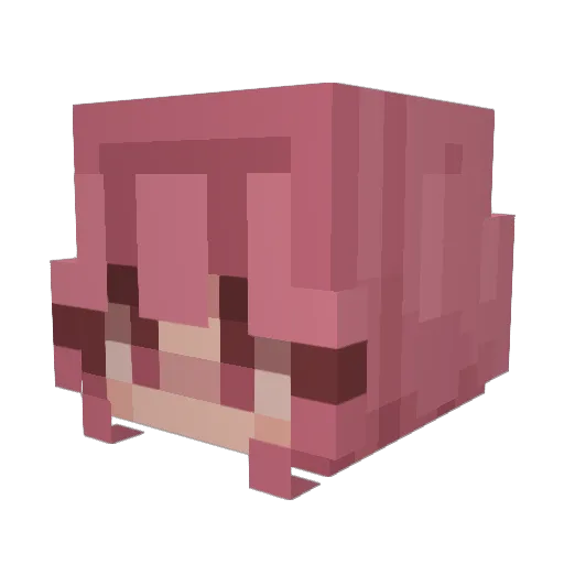 letmefocus Minecraft avatar head, 3D render