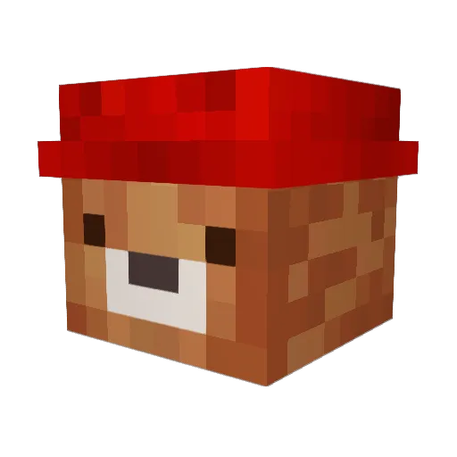 letr2001 Minecraft avatar head, 3D render