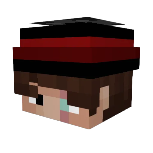 letrooper47 Minecraft avatar head, 3D render