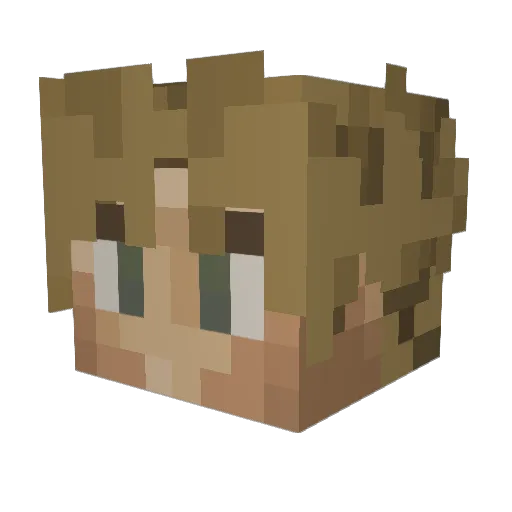 letsgotigers49 Minecraft avatar head, 3D render