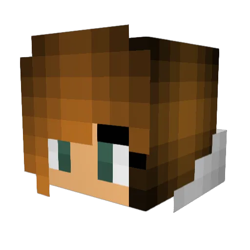 letter22v Minecraft avatar head, 3D render