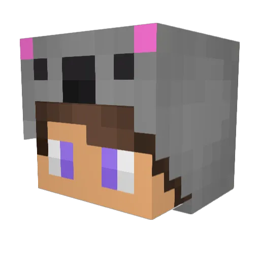 leugnen Minecraft avatar head, 3D render