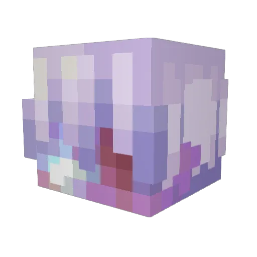 leumaS1312 Minecraft avatar head, 3D render