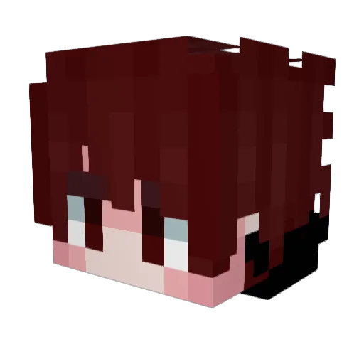 leumas55 Minecraft avatar head, 3D render