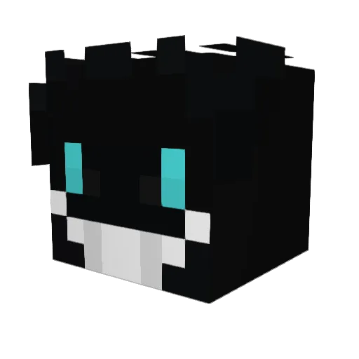 leutre Minecraft avatar head, 3D render