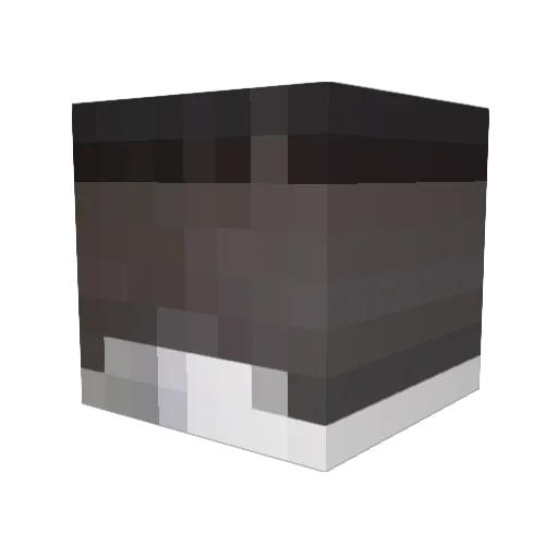 level10 Minecraft avatar head, 3D render