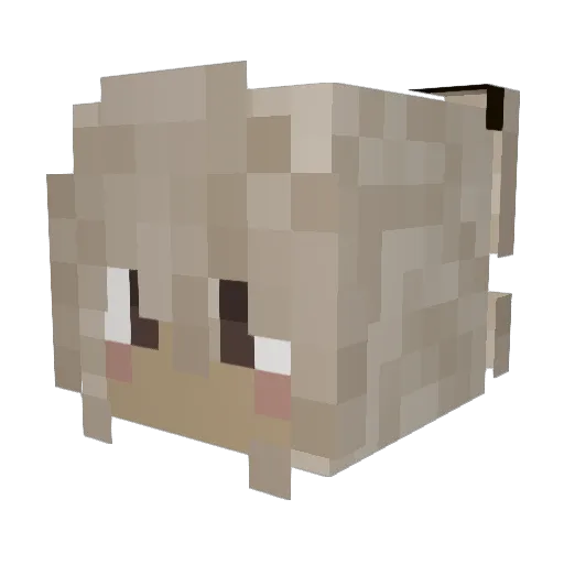 leveland Minecraft avatar head, 3D render