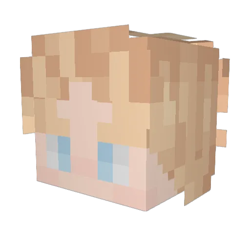 levi_wj Minecraft avatar head, 3D render