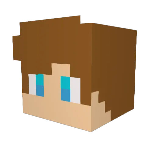 lewi2405 Minecraft avatar head, 3D render