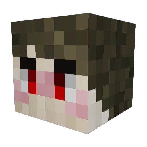 lewisphobic Minecraft avatar head, 3D render