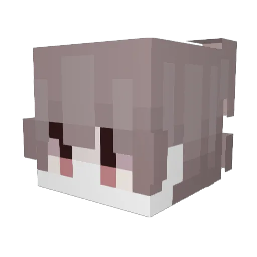 lewwss Minecraft avatar head, 3D render