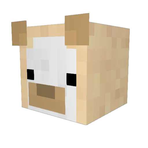 lex_0006 Minecraft avatar head, 3D render