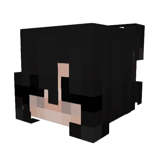 lexe Minecraft avatar head, 3D render
