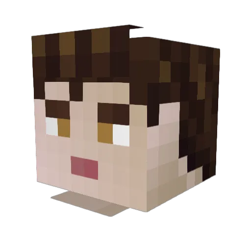 lexi_d Minecraft avatar head, 3D render