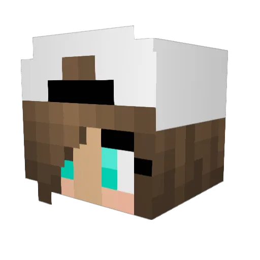 lexialexis05 Minecraft avatar head, 3D render