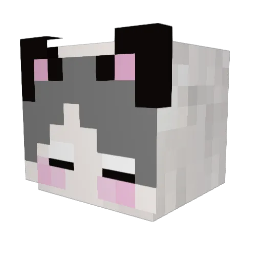 lexiaotian Minecraft avatar head, 3D render
