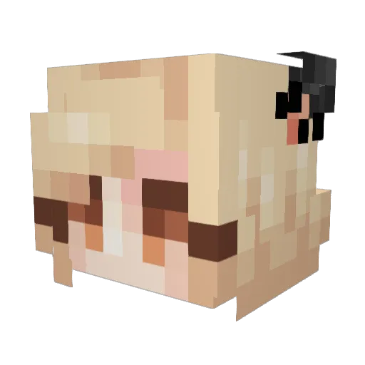 lexiiG Minecraft avatar head, 3D render