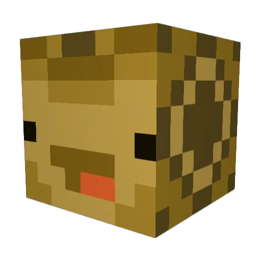 lexisalizard Minecraft avatar head, 3D render