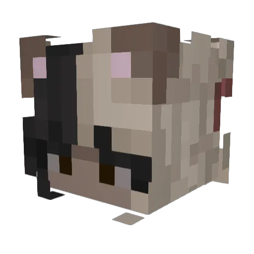lexneedsanap Minecraft avatar head, 3D render