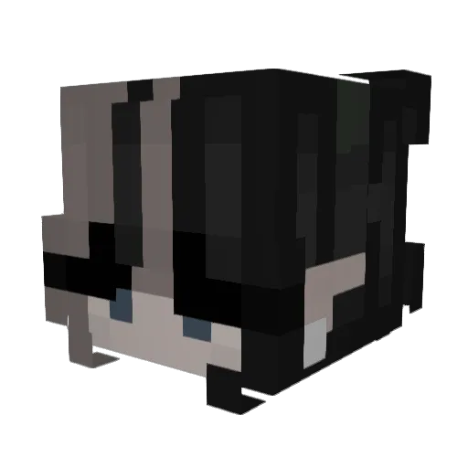 lexuriia Minecraft avatar head, 3D render