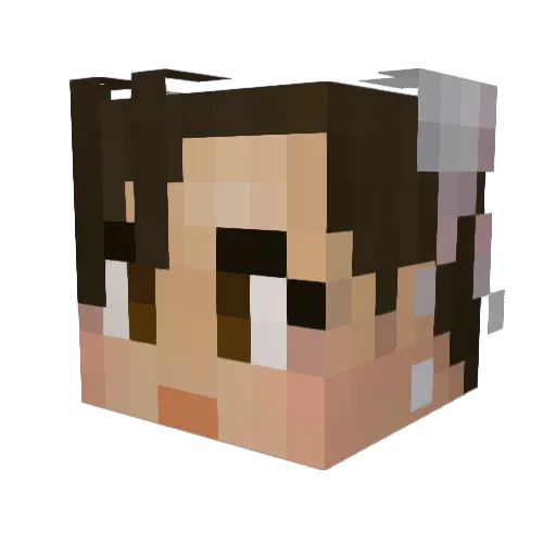 lexus4442 Minecraft avatar head, 3D render