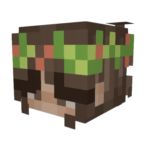 lexxaa5 Minecraft avatar head, 3D render