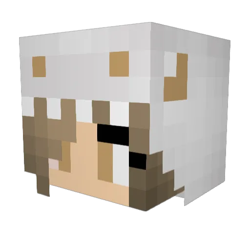 lexxisluv Minecraft avatar head, 3D render