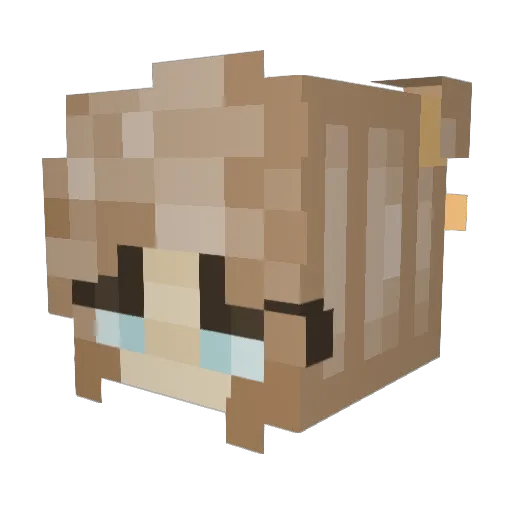 lexxo16 Minecraft avatar head, 3D render