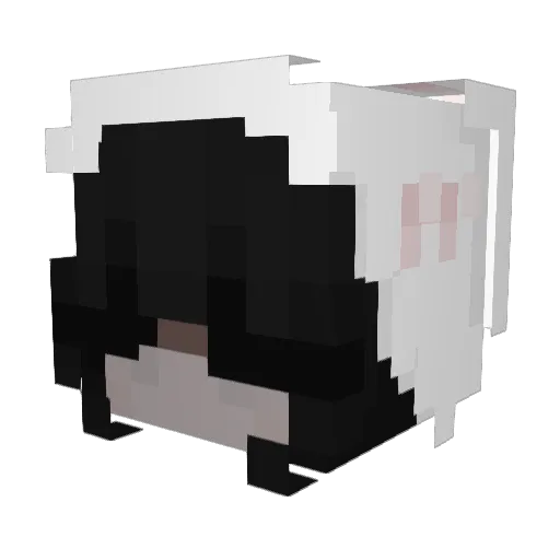 leyluu1 Minecraft avatar head, 3D render