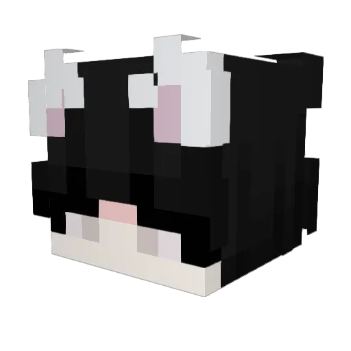 lf_fshka_05_13 Minecraft avatar head, 3D render