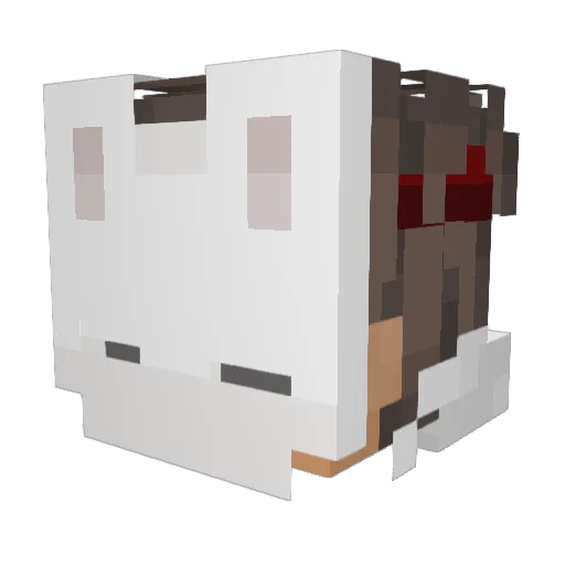 lf_xicNw_06_28 Minecraft avatar head, 3D render