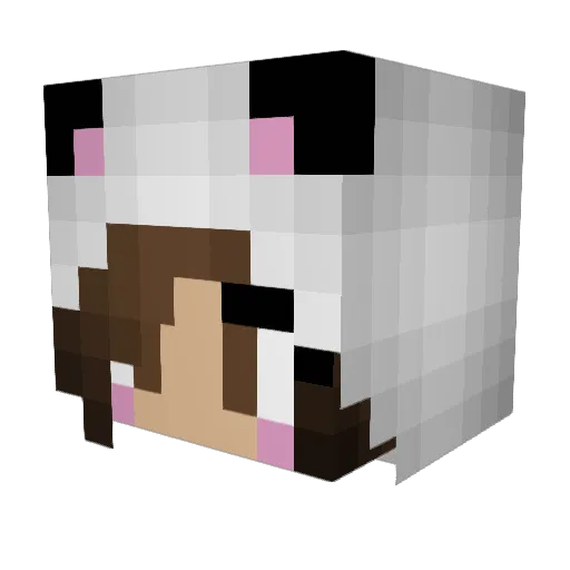 lfbiggs Minecraft avatar head, 3D render