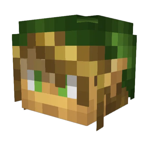 lfire4 Minecraft avatar head, 3D render