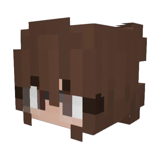 lflwrs Minecraft avatar head, 3D render