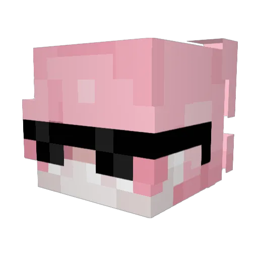 lfshynotacat Minecraft avatar head, 3D render