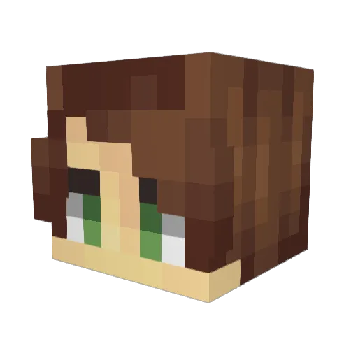 lfsupplies Minecraft avatar head, 3D render