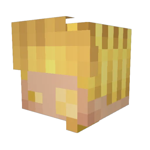 lgevi18 Minecraft avatar head, 3D render