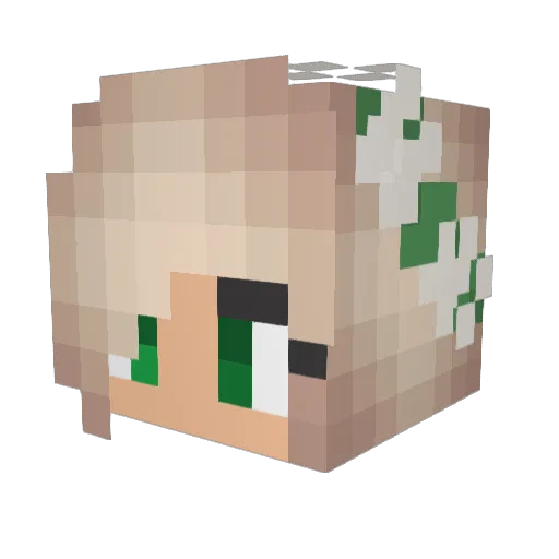 lgpella Minecraft avatar head, 3D render