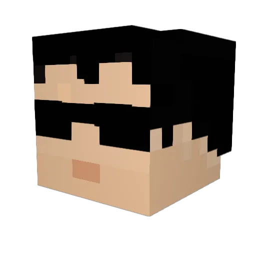 lgrafo28 Minecraft avatar head, 3D render