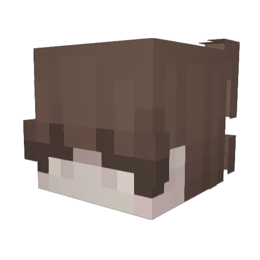 lhaven Minecraft avatar head, 3D render