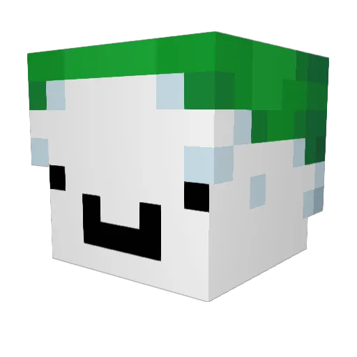 lhc06 Minecraft avatar head, 3D render