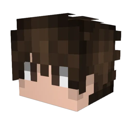 lhc_ Minecraft avatar head, 3D render