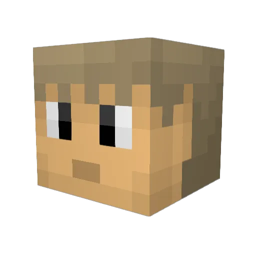 lhendrey45 Minecraft avatar head, 3D render