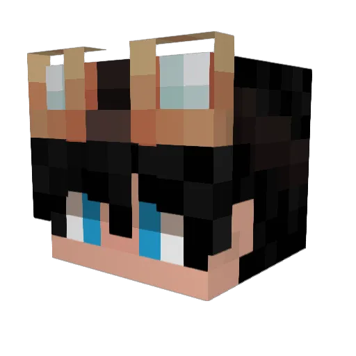 lhermsulli Minecraft avatar head, 3D render