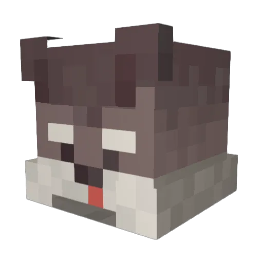 lhm0204 Minecraft avatar head, 3D render