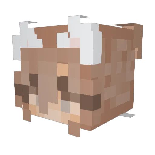 li1_sushiii Minecraft avatar head, 3D render