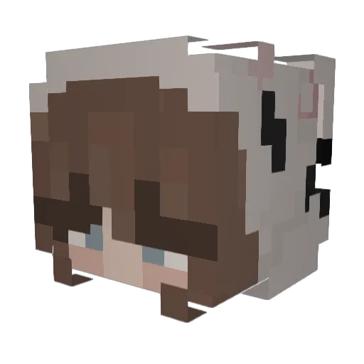 lia_xoxo Minecraft avatar head, 3D render